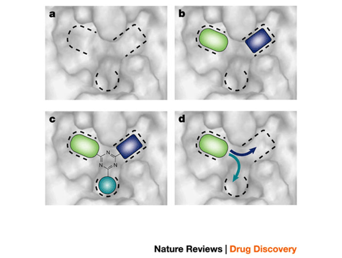 schematic presentation of fragment-based drug discovery