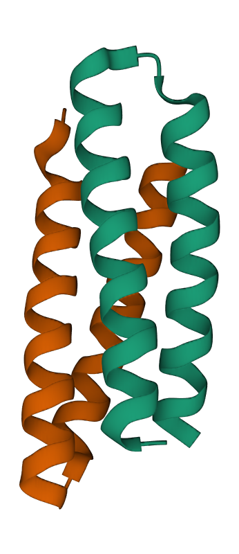 helical bundle of 1MFT