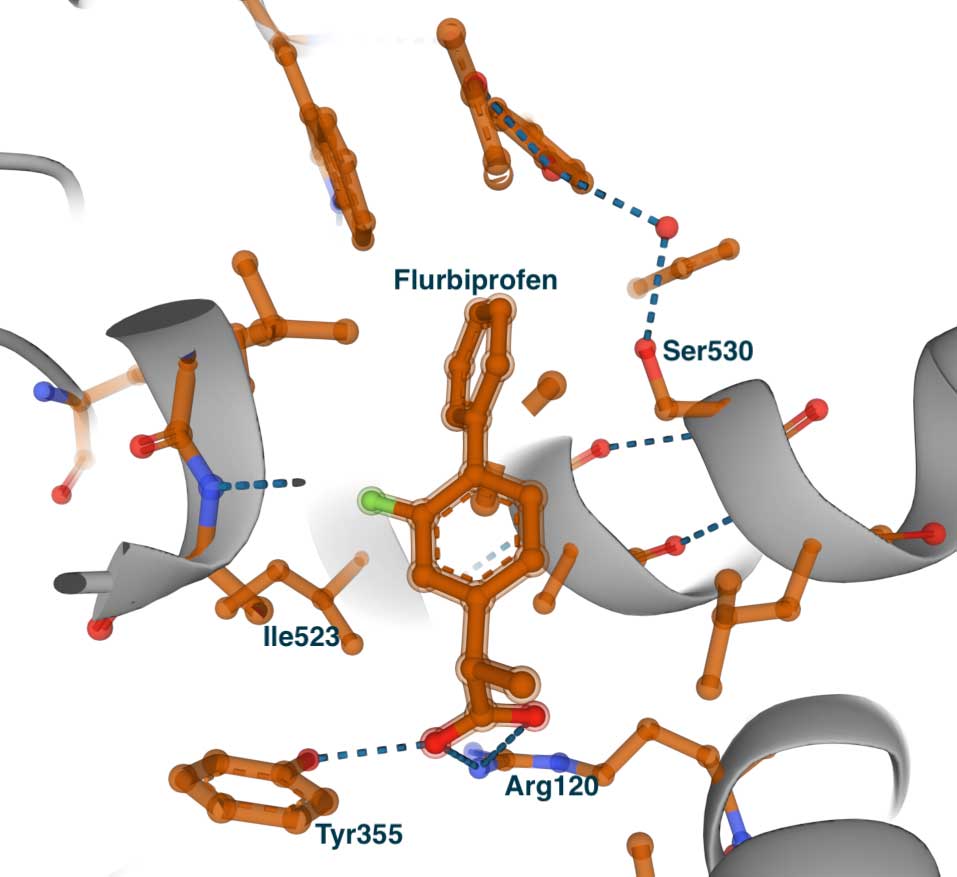 Flurbiprofen complex with COX-1